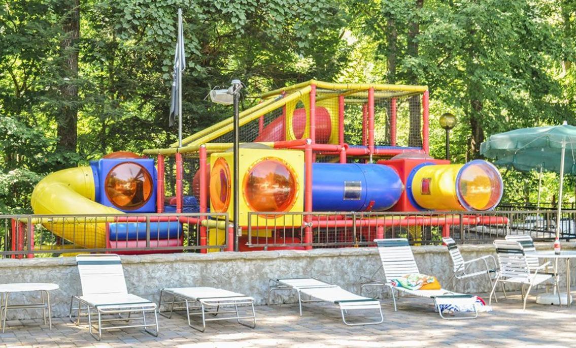 Chestnut Bearadise Villa Гетлинбург Екстериор снимка