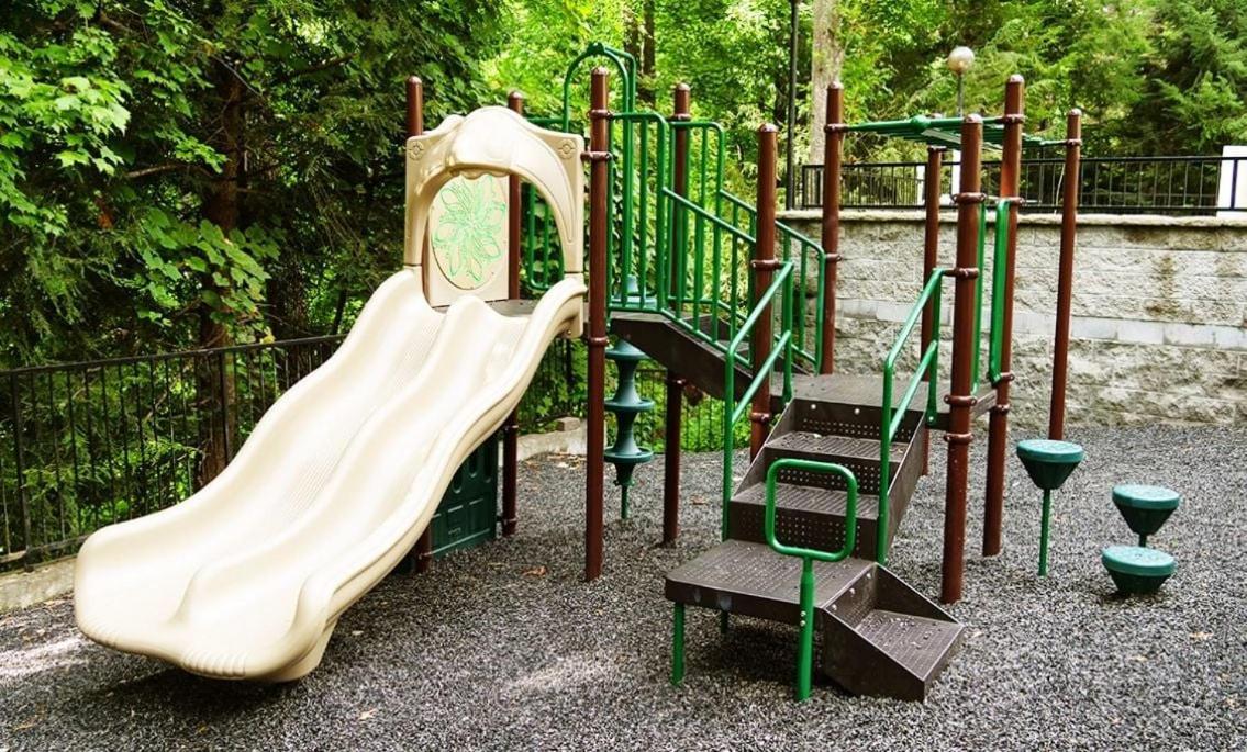 Chestnut Bearadise Villa Гетлинбург Екстериор снимка